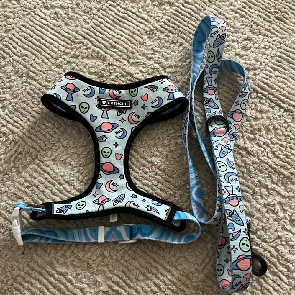 Reserved frenchie harness + leash